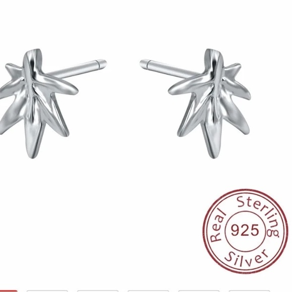 Single Accent Leaf 925 Sterling Silver Earring - Picture 2 of 6
